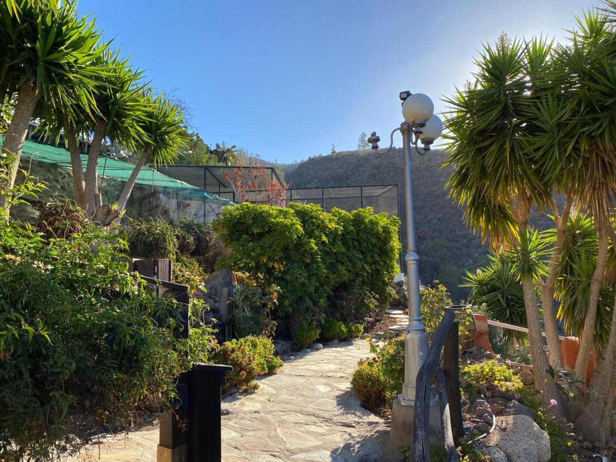 Casa Guia de Isora (Tenerife)
