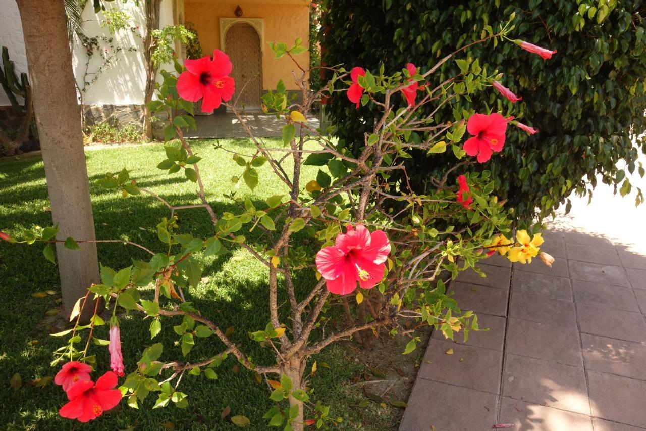 Apartment Playa Spain - La Menara Naturist - Eagles Nest - Penthouse *