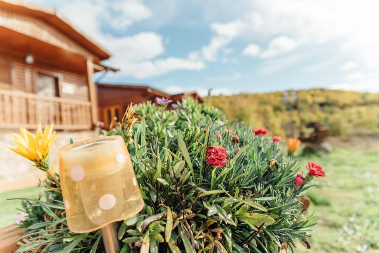 Сasa de vacaciones Turístico La Alegría De La Huerta