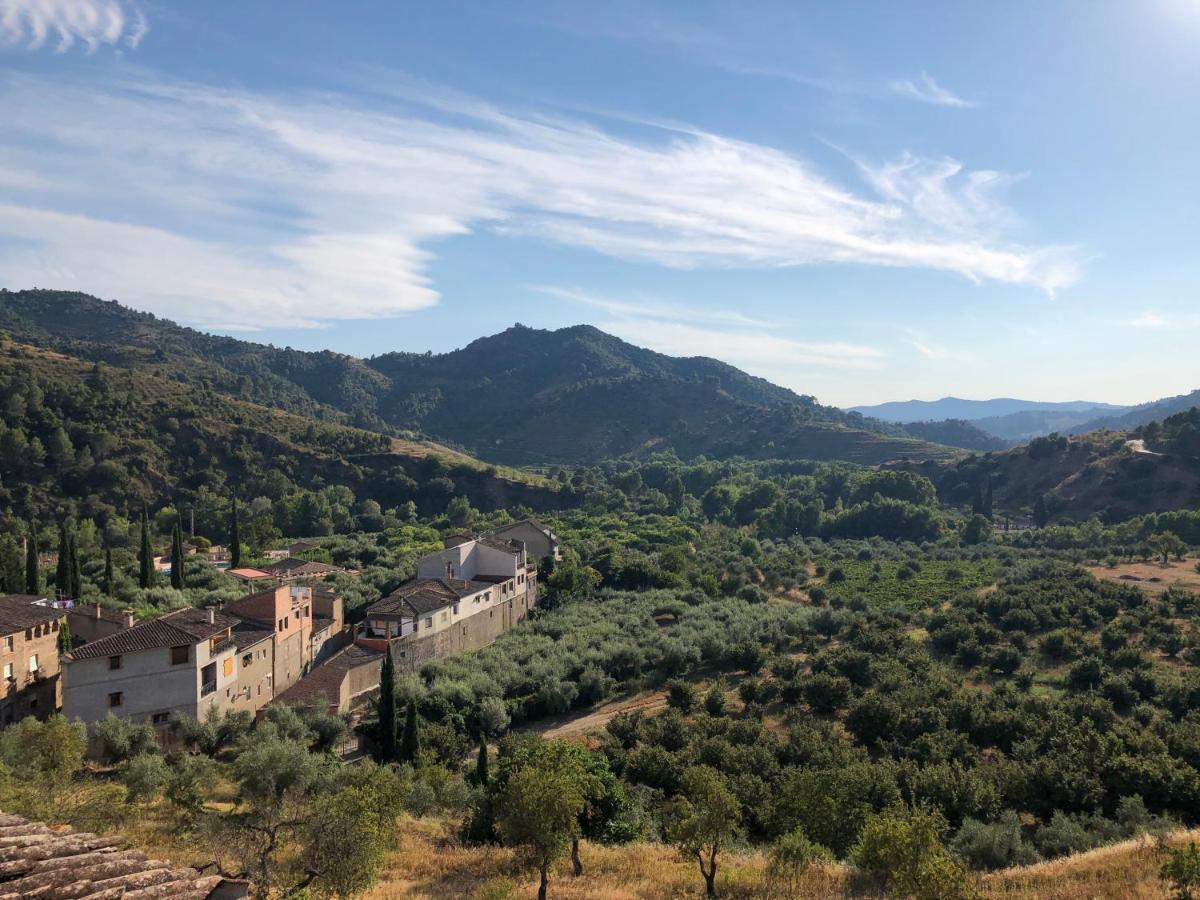 Can Borras - Casa Rural, Gite, Vacation - Priorat Holiday home *
