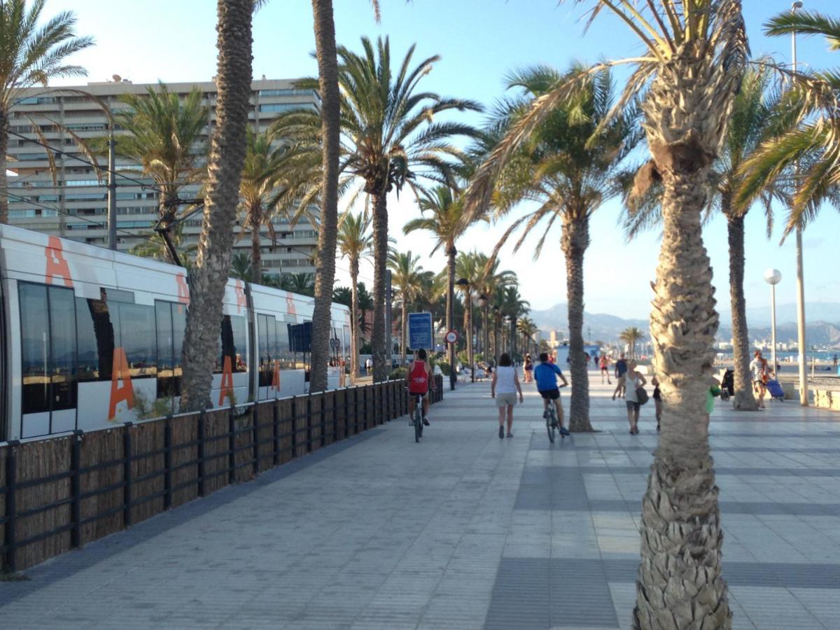 Vdc Near San Juan * San Juan (Alicante)