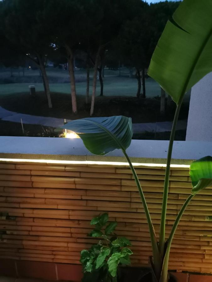 Indo Loma Sancti Petri
