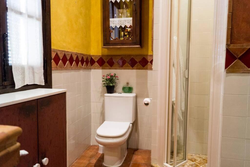 Casa Andaluza Albahaca Córdoba