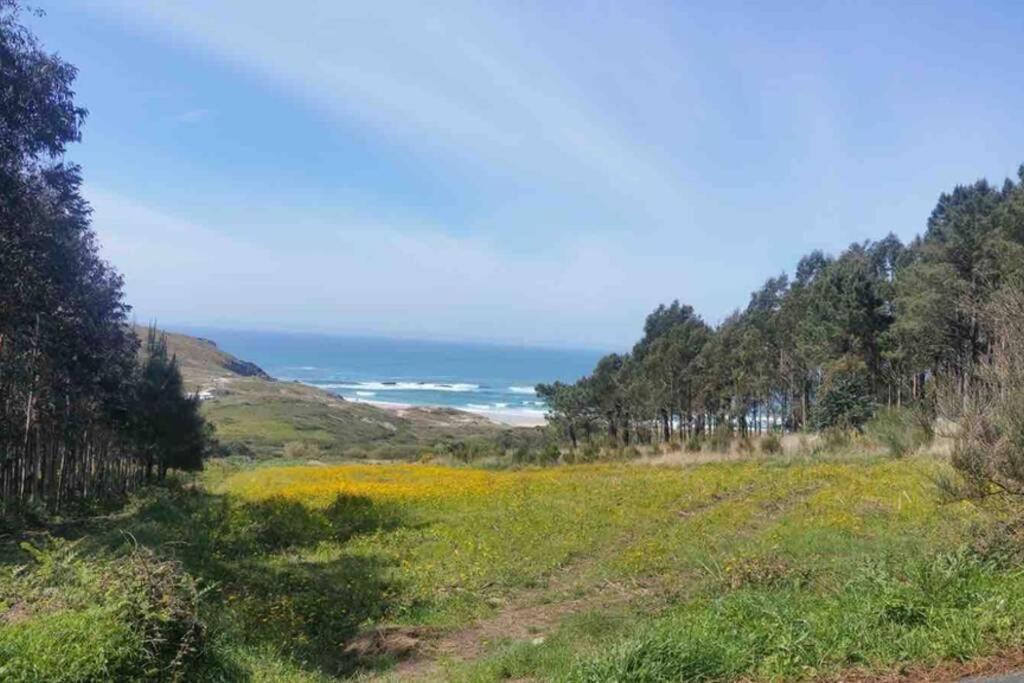 1ª Linea De Playa Rodeado De Naturaleza Apartment Finisterre