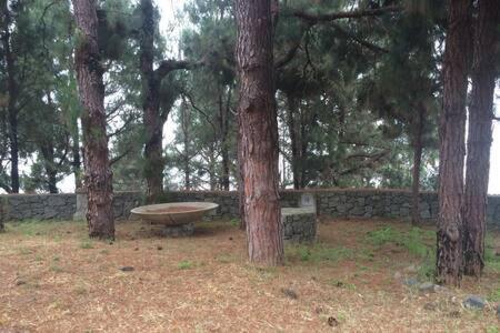 Villa Rural Faldas Del Teide