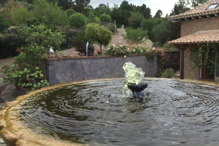 Rural Faldas Del Teide Icod De Los Vinos