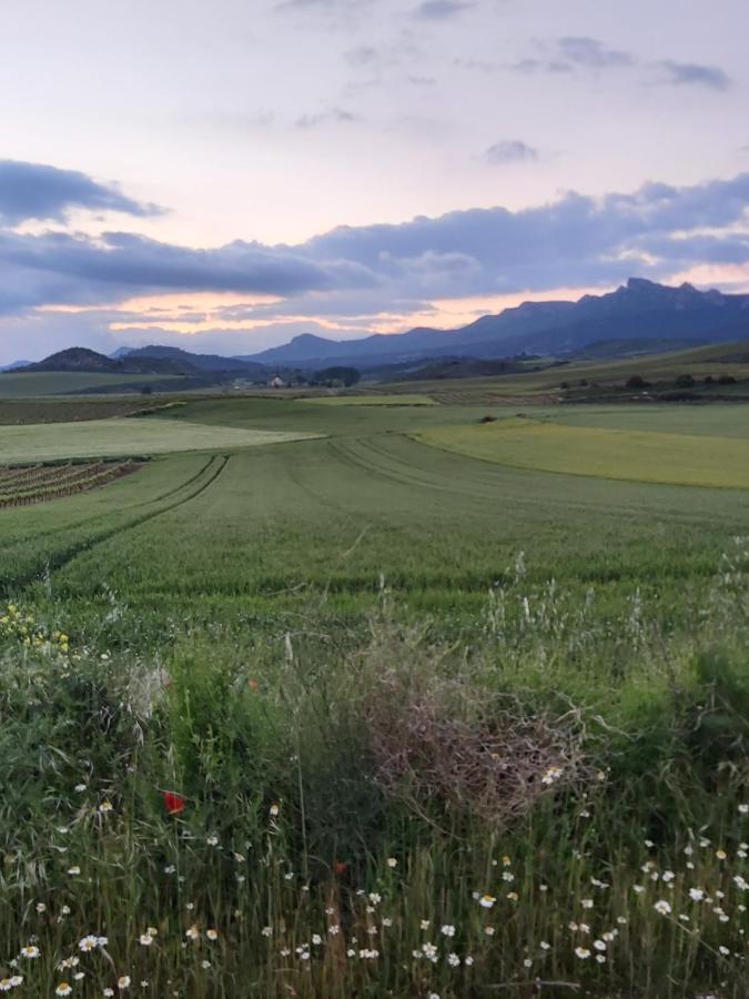 Durmiendo Reyes En La Rioja Cihuri