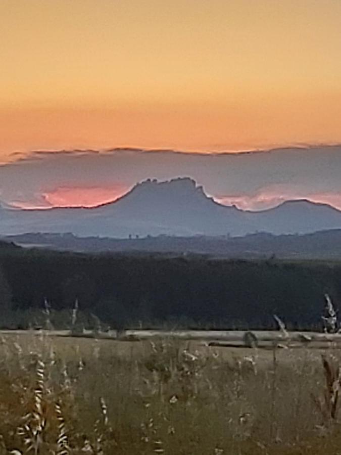 Durmiendo Reyes En La Rioja