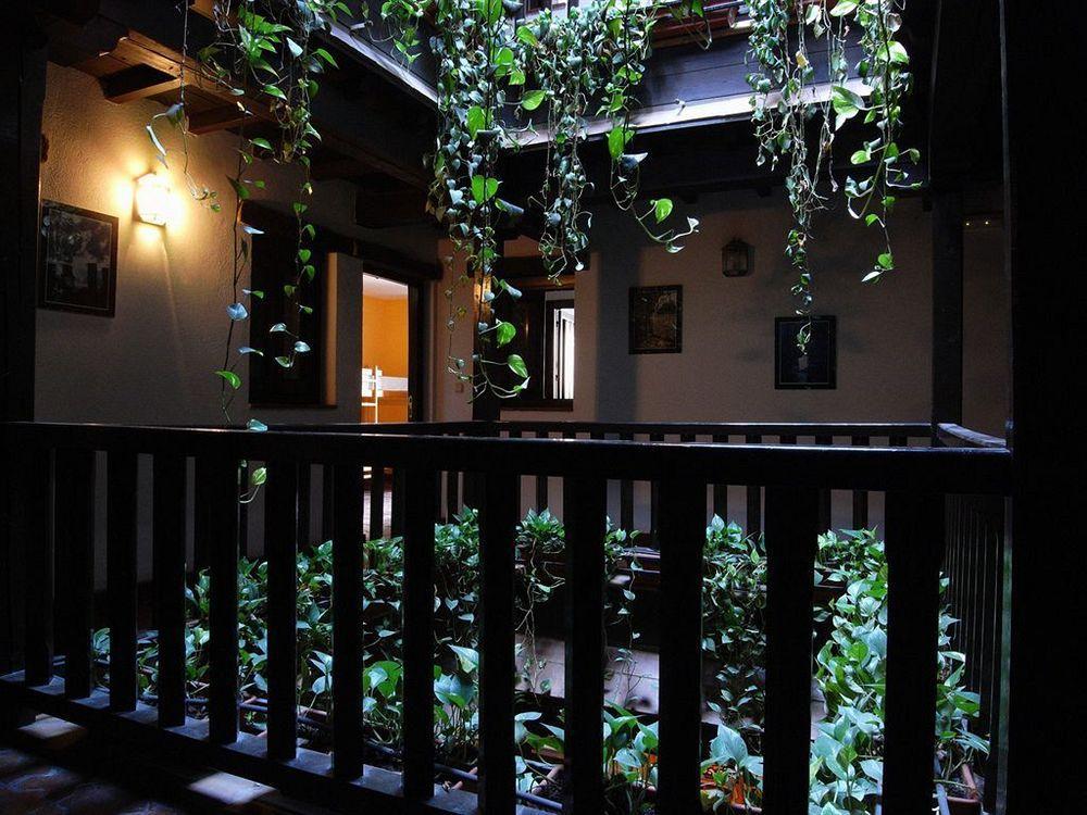 Oasis Backpackers' * Toledo