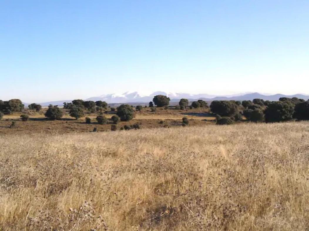 Сasa de vacaciones Casa Leonor Castejon Del Campo