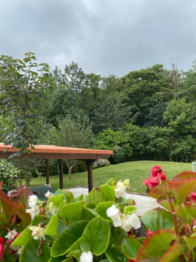 Apartamento 2 En Con Piscina Privada En Asturias El Marquesau Noriega