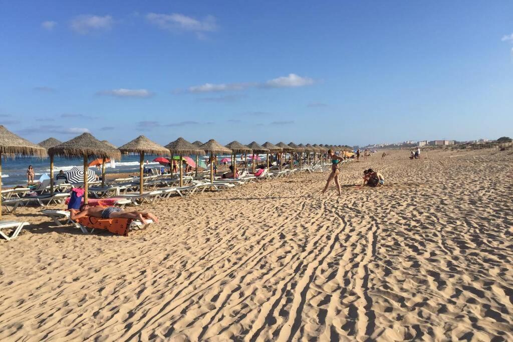 Sonnige Direkt Am Meer Apartamento *