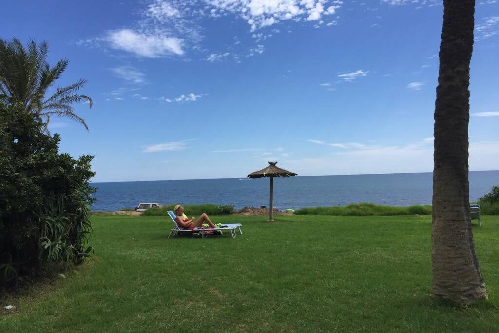 Apartamento Sonnige Direkt Am Meer Torrevieja