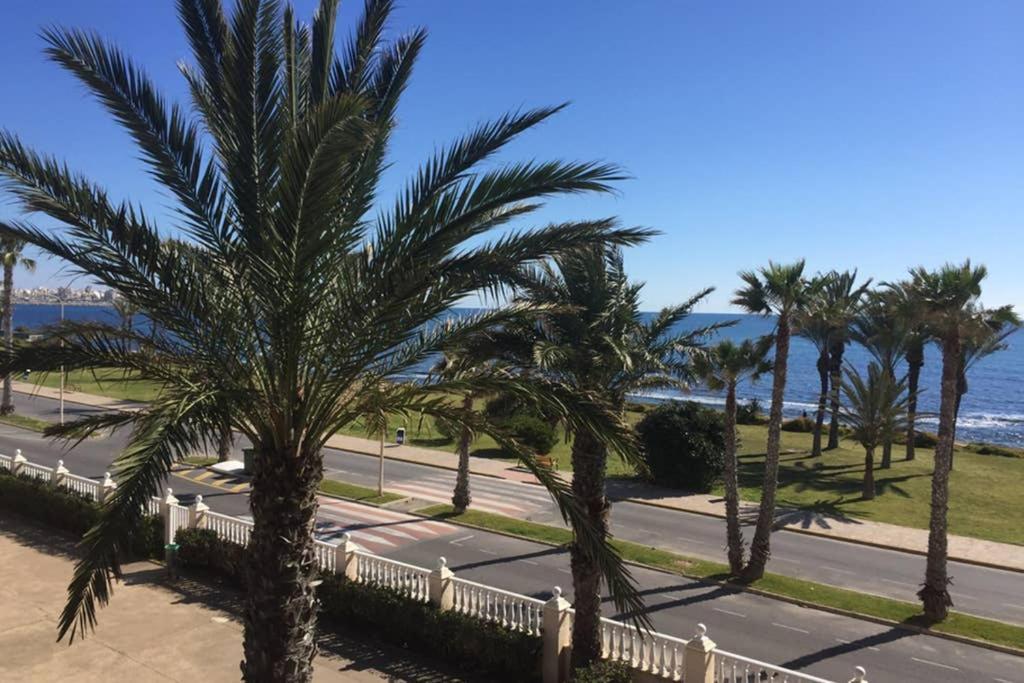 Apartamento Sonnige Direkt Am Meer *