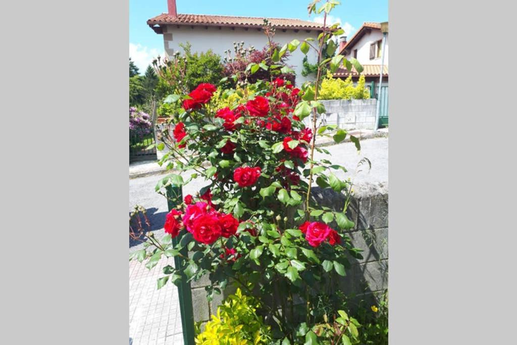 Holiday home Familias 10 Huespedes Noja Playas, Mascotas Bienvenidas *