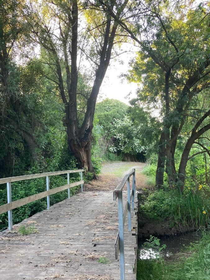 Turístico Cerca Aranda De Duero La Ren Lecrés Apartamento Vadocondes