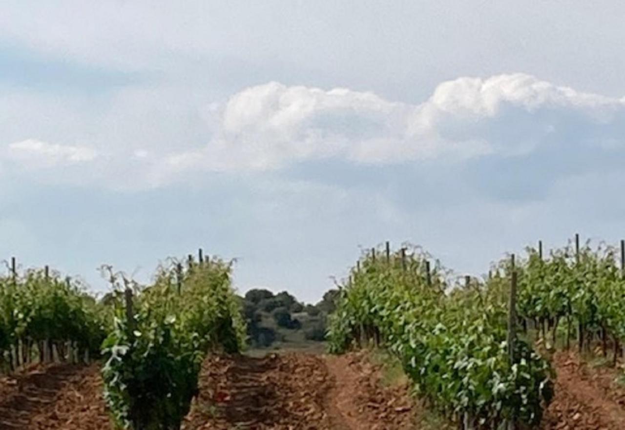 Turístico Cerca Aranda De Duero La Ren Lecrés *