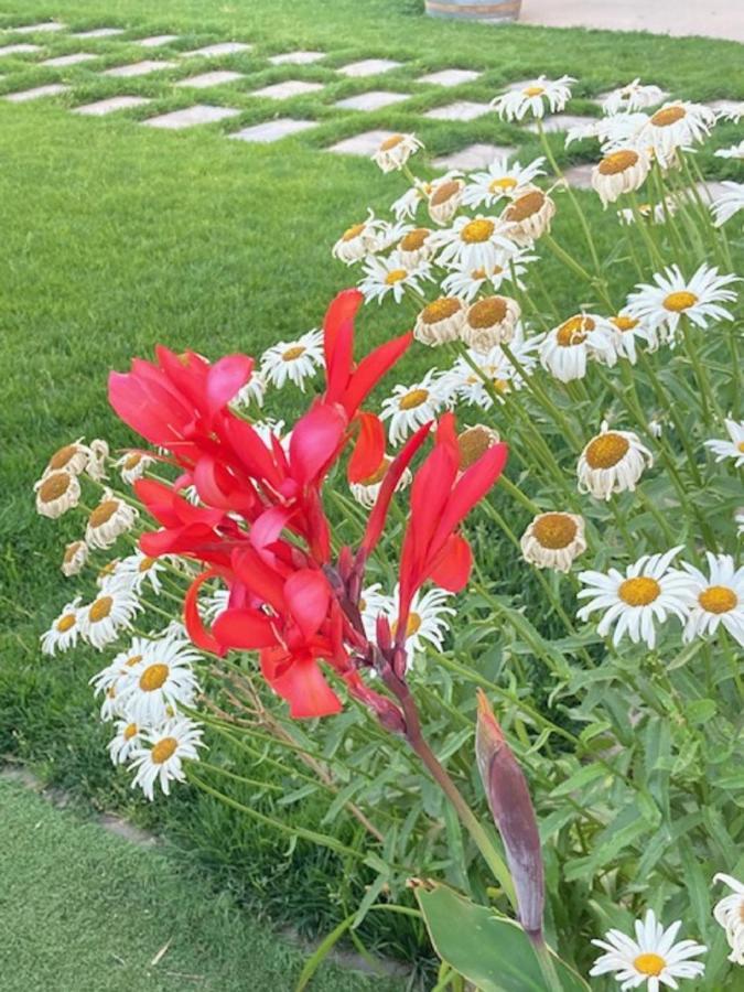 Turístico Cerca Aranda De Duero La Ren Lecrés Apartamento