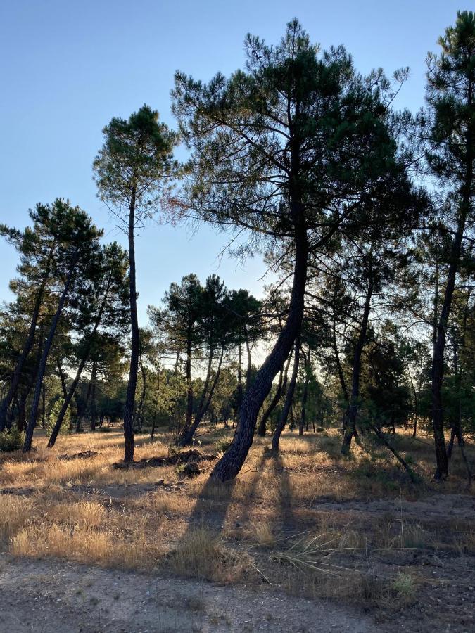 Turistico Cerca Aranda De Duero La Ren Lecres