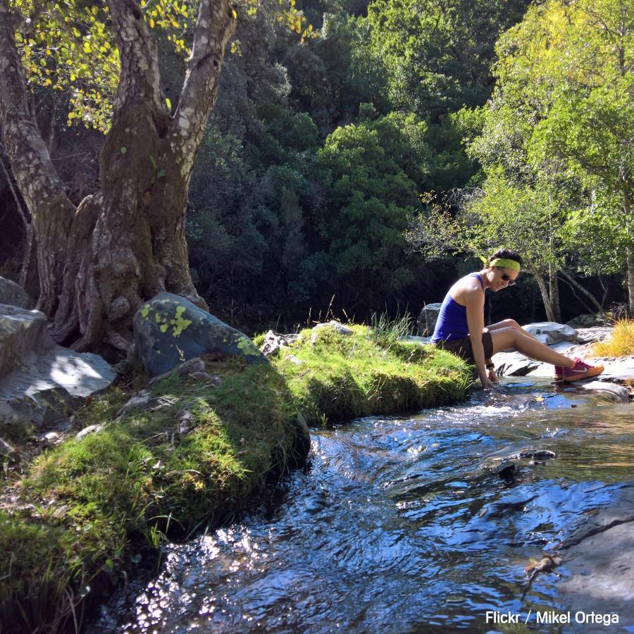 Сasa de vacaciones Turístico La Alegría De La Huerta
