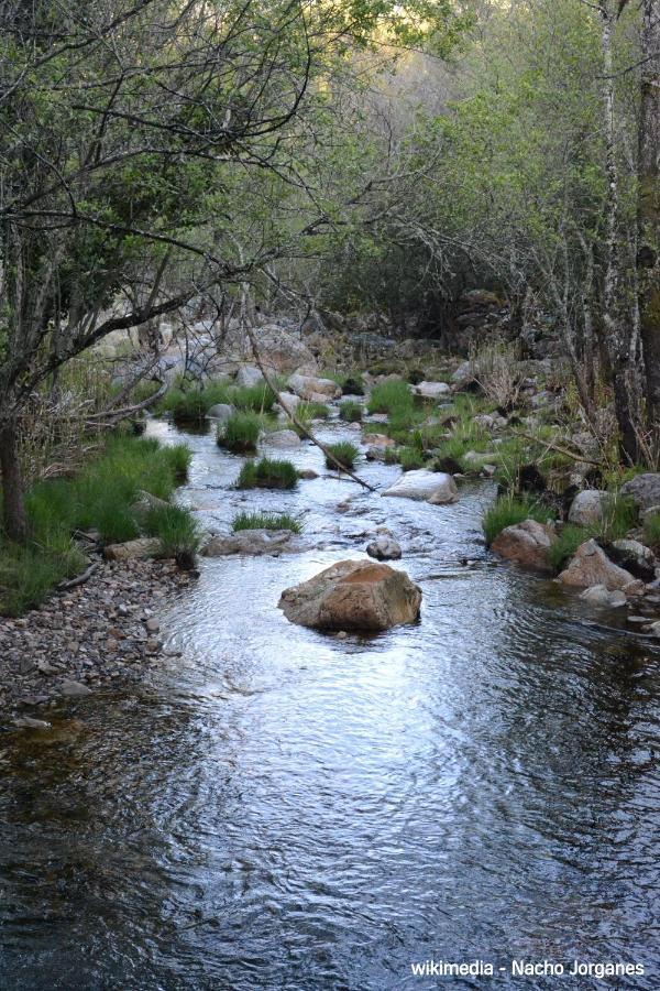 Turistico La Alegria De La Huerta * Cepeda