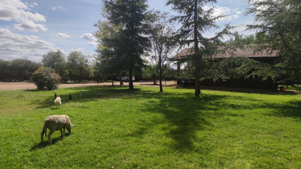Farm stay Tabla Honda El Robledo (Ciudad Real)