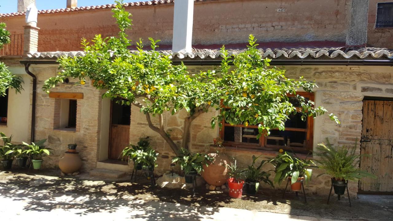 Guest house Felicity House - La Casa Del Sol