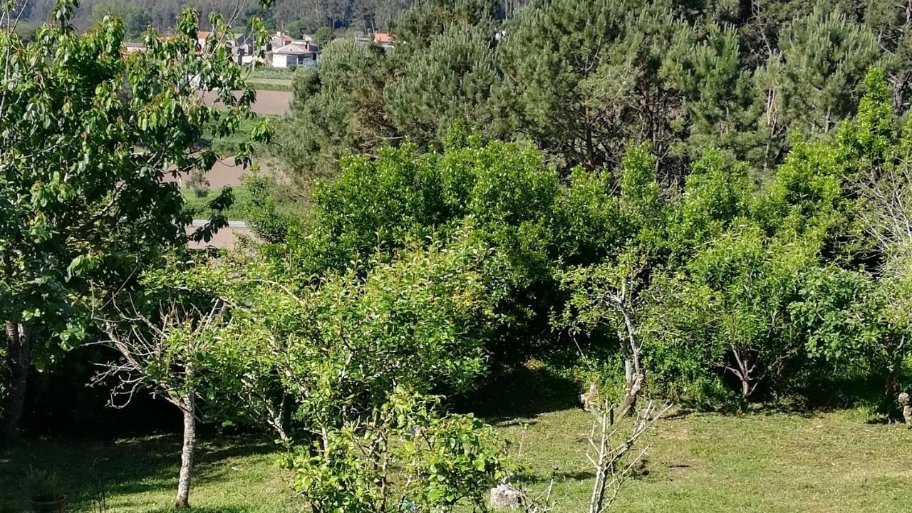 Сasa de vacaciones Luz Da Lúa - Casa Del Campo *