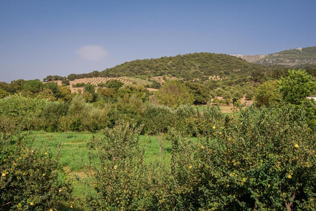 El Nispero Villa