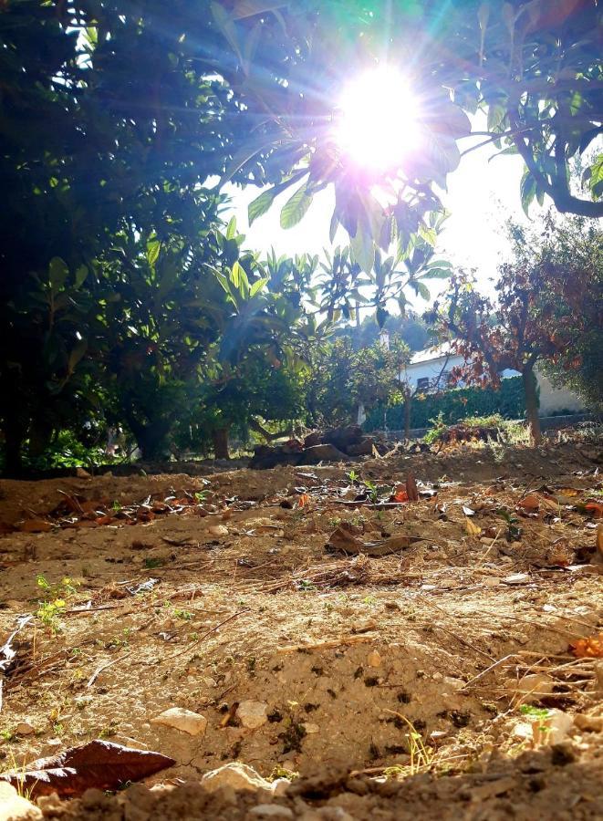 La Caseta Apartamento Benimantell