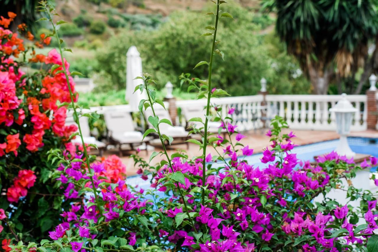 Bed & Breakfast Casa Volar Coin,malaga Coin
