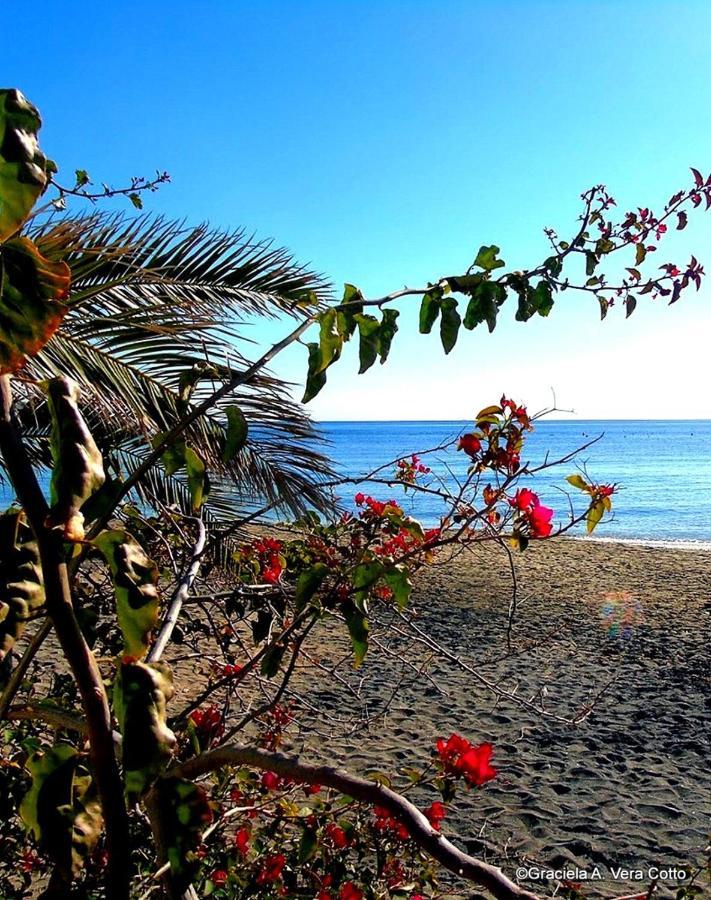 La Palmera. El Amanecer En El Parque Natural Agua Amarga (Almeria)