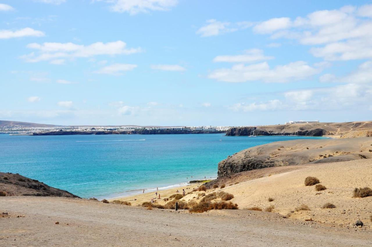 Roble Yaiza (Lanzarote)