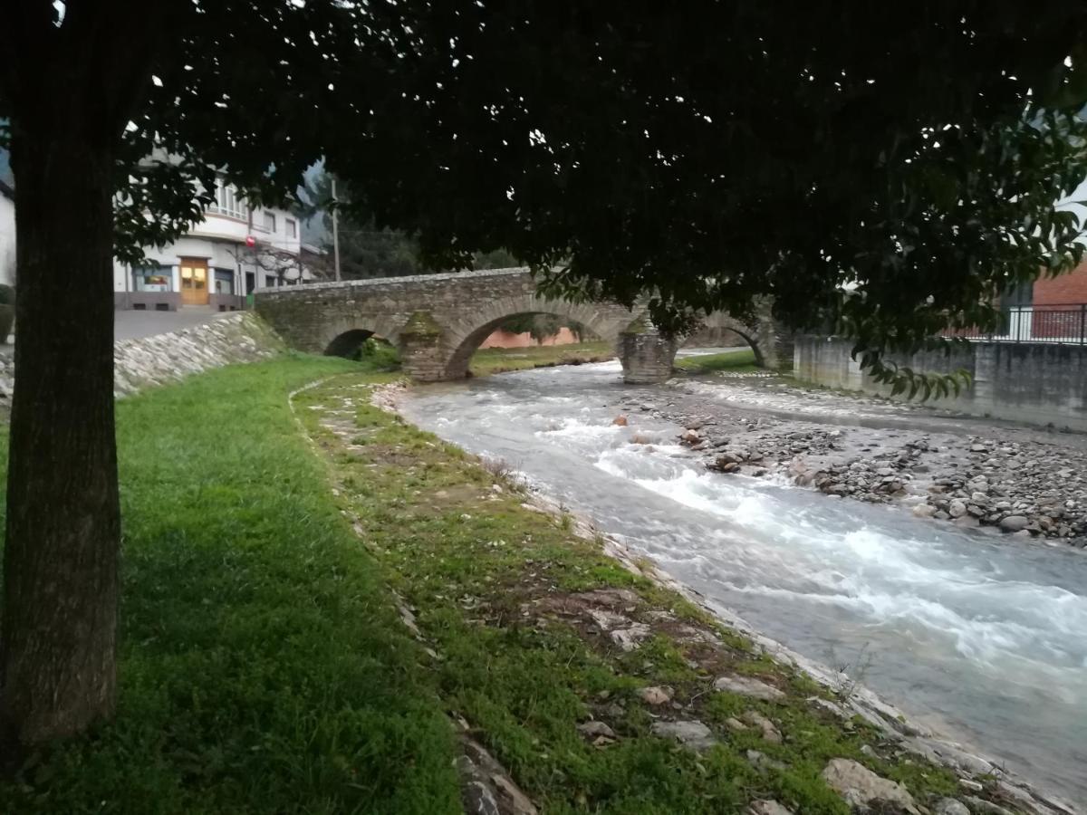 3 Negrillas Toral de Merayo