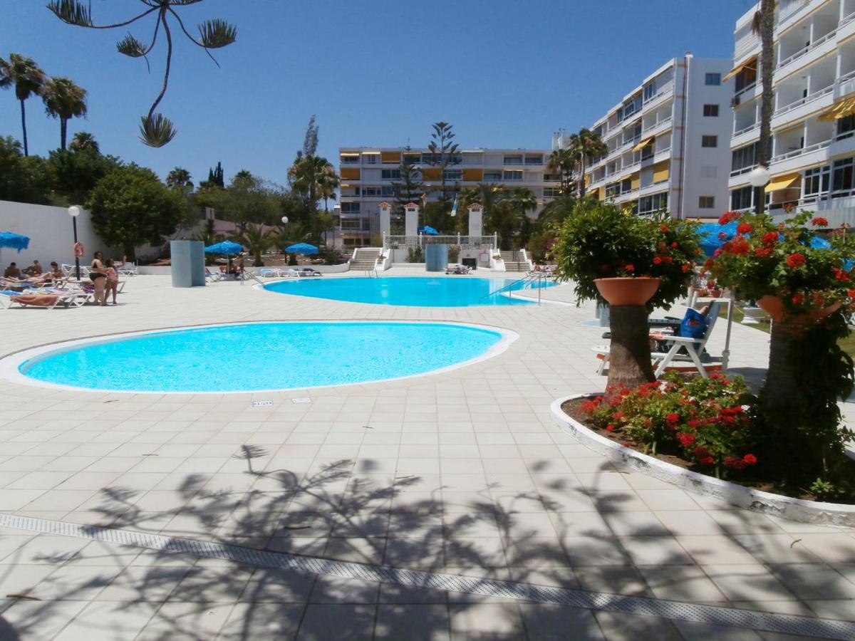 Aloe Friendly Playa del Ingles (Gran Canaria)