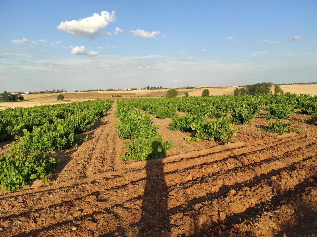 Vinarius, Rural *