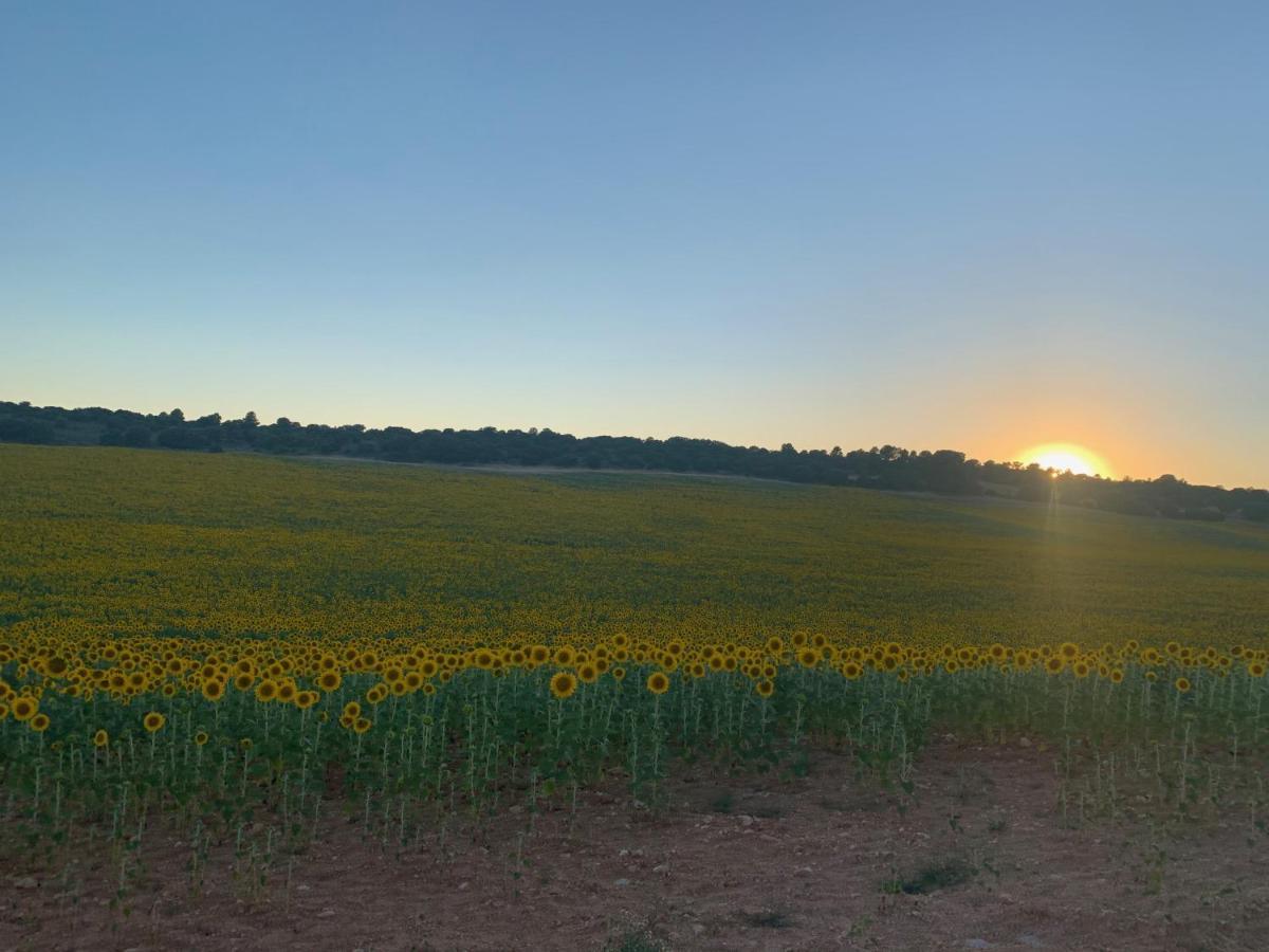 Сasa de vacaciones Casa Herreros - Rural Con Pista De Padel Rada de Haro