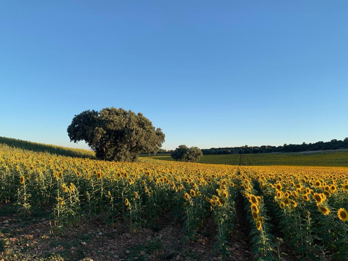 Casa Herreros - Rural Con Pista De Padel Rada de Haro