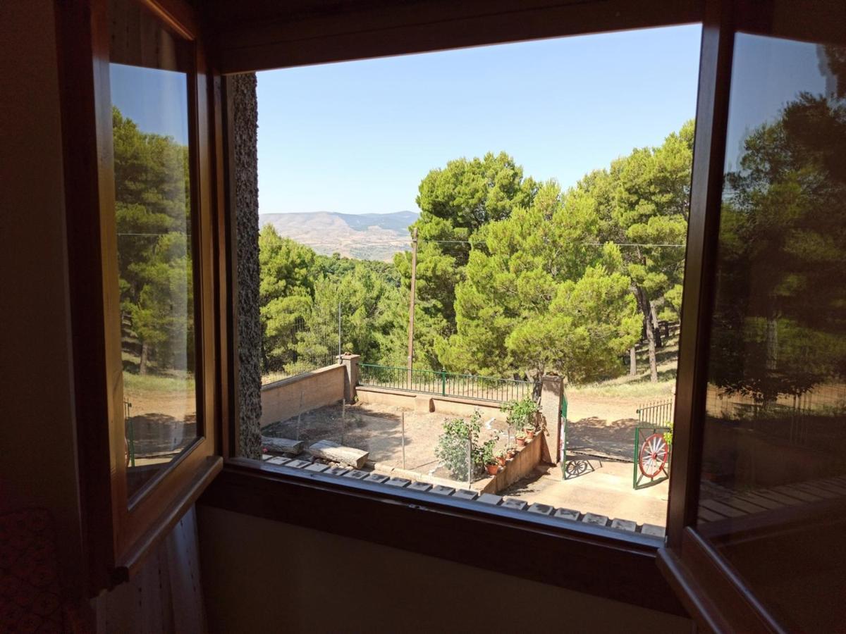 Casilla Del Pinar Holiday home *