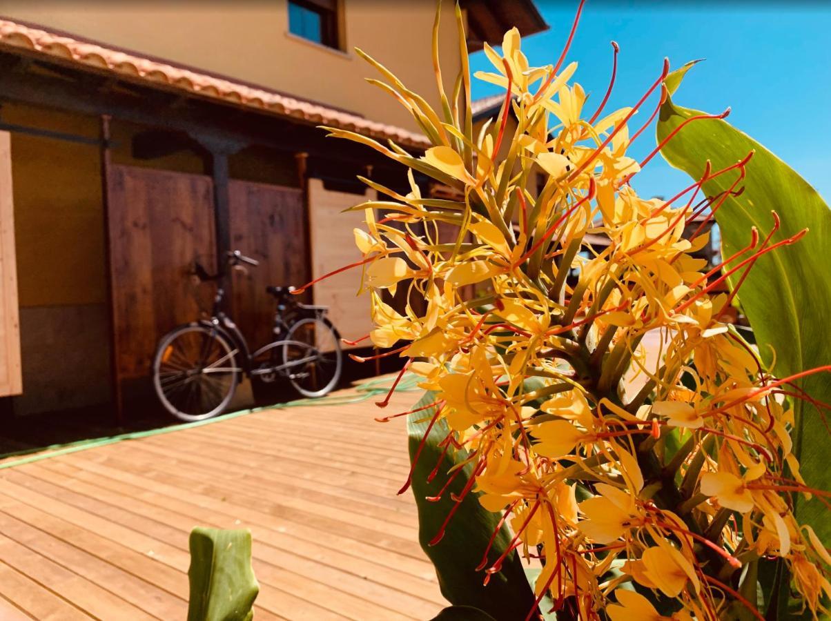 Casitas De Santillana Сasa de vacaciones