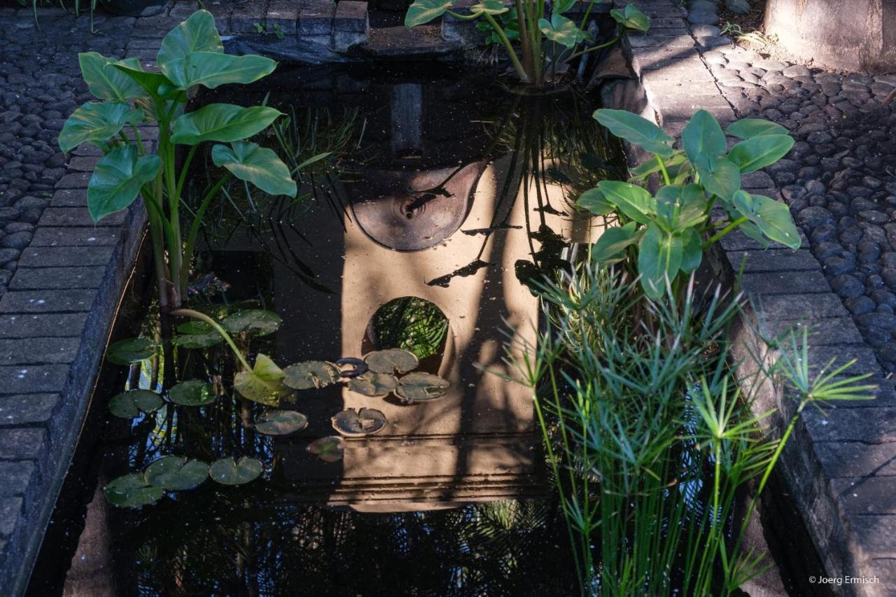El Jardin De La Palapa Villa Los Realejos