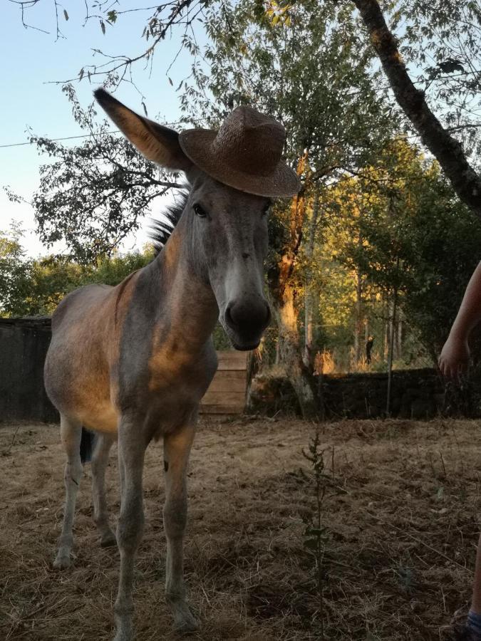 Сasa de vacaciones A Maquia Do Pousavedra *