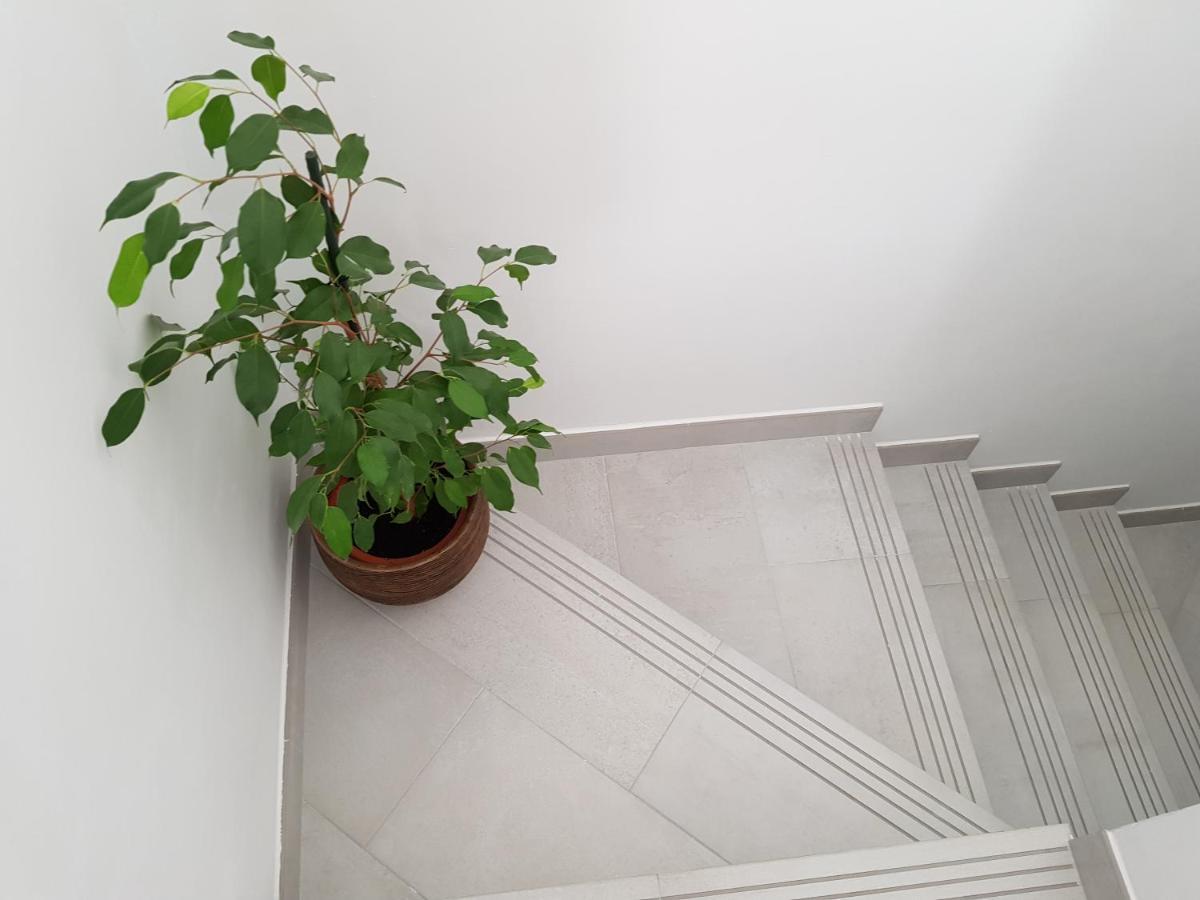Apartment Loft Abantos - 120m2 Mas Terraza Y Jardin Independiente San Lorenzo de El Escorial