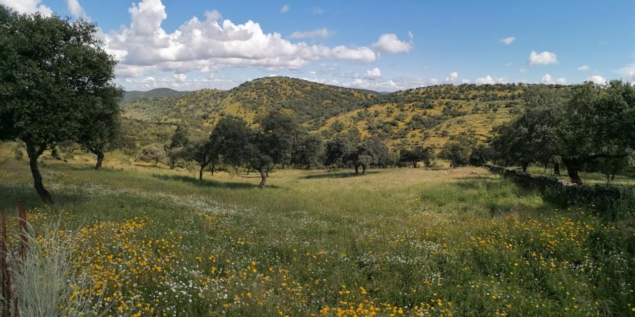 Holiday home Cortijo El Alamo Cumbres de San Bartolome