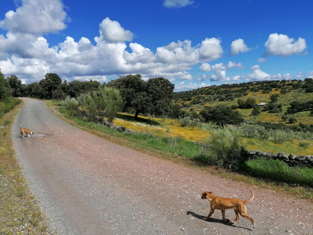 Cortijo El Alamo