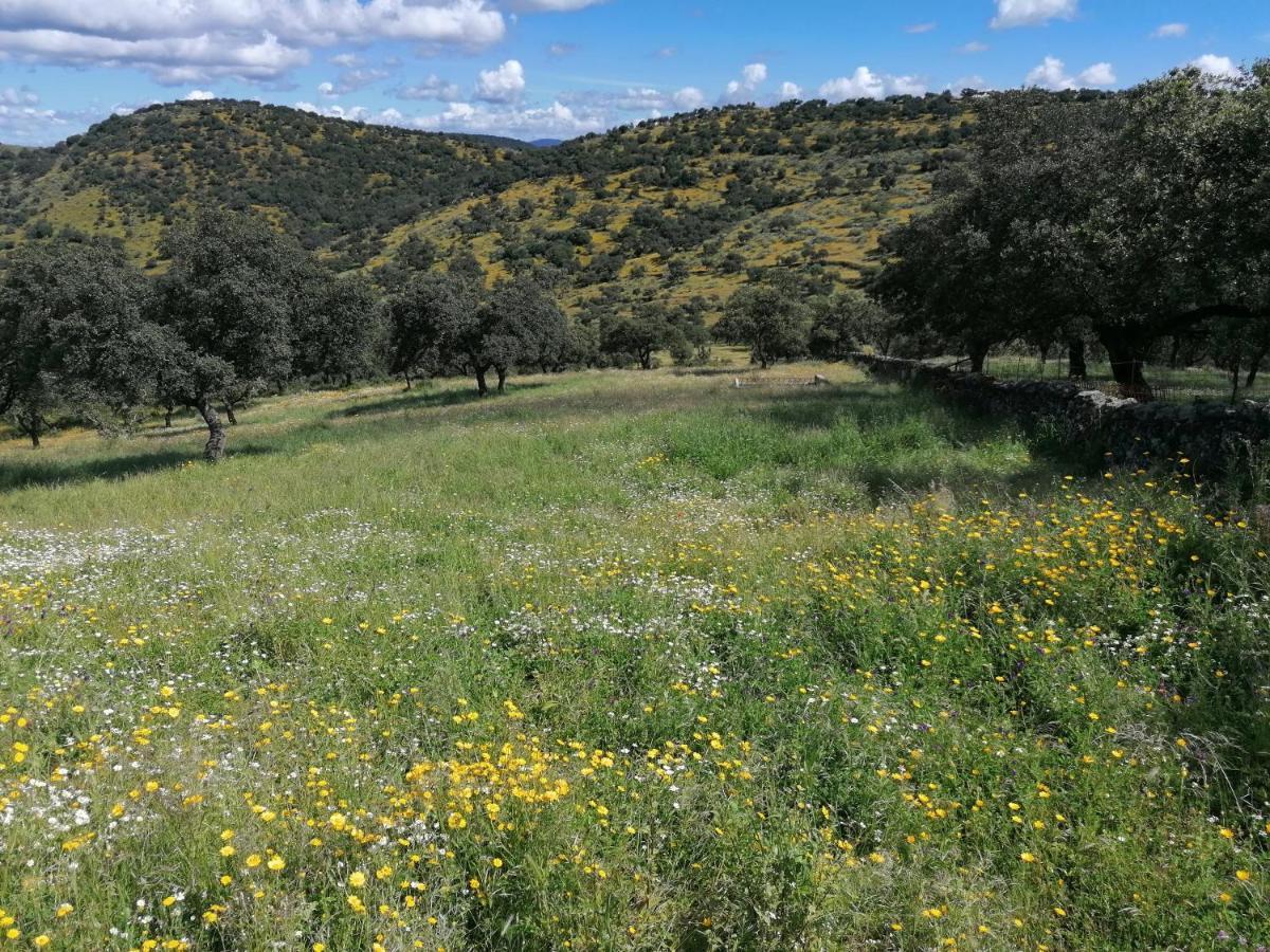Holiday home Cortijo El Alamo *