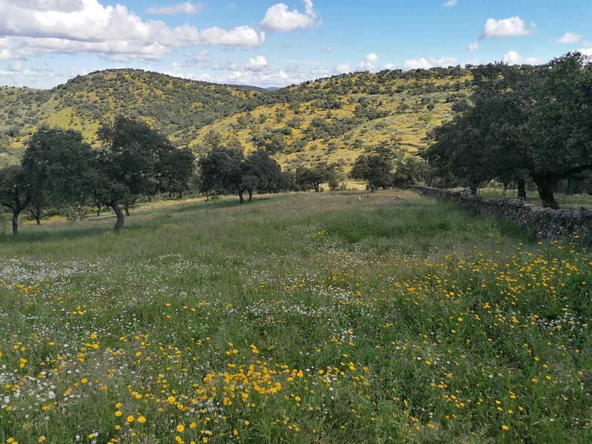 Holiday home Cortijo El Alamo