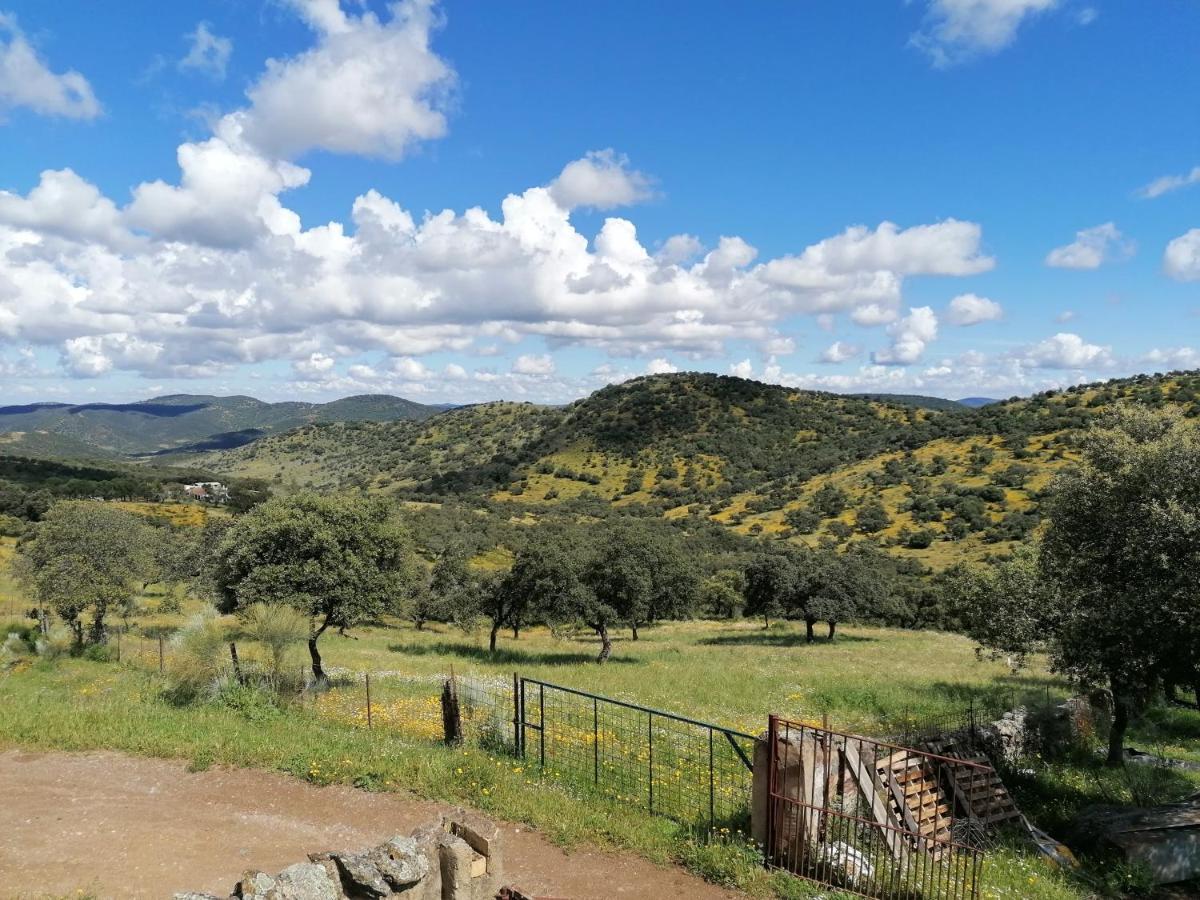 Cortijo El Alamo *