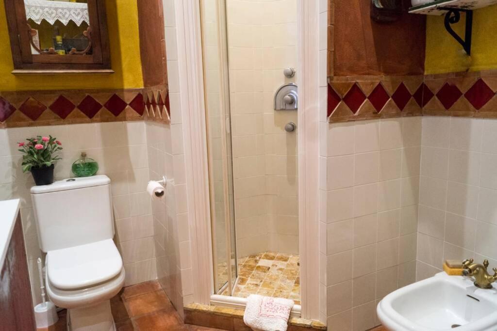 Casa Andaluza Albahaca * Córdoba