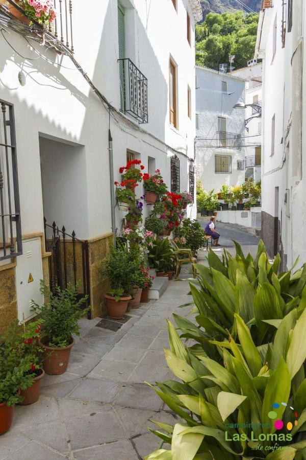 Vivienda En El Centro De Apartamento Güéjar Sierra